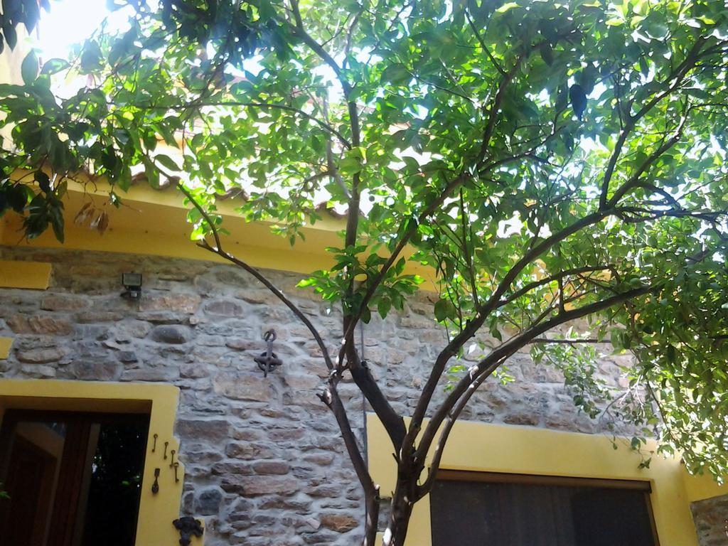B&B Su Semucu Ballao Exterior photo